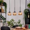 Ripoll Lampadario a sospensione, Lampada a sfera, Lampada a sospensione Écru, Nero, 3-Luci
