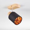 Fallhagen Applique, Faretto da parete Cromo, Legno chiaro, 1-Luce