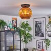 Ripoll Plafoniera, Lampada a sfera Oro, 1-Luce