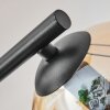 Koyoto Plafoniera, Lampada a sfera Ambrato, Chiaro, Grigio fumo, 3-Luci
