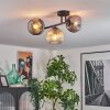 Ripoll Plafoniera, Lampada a sfera Ambrato, Chiaro, Grigio fumo, 3-Luci