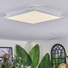 Raimea Plafoniera, Panel LED Bianco, 1-Luce