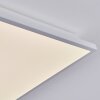 Raimea Plafoniera, Panel LED Bianco, 1-Luce