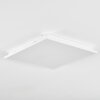 Raimea Plafoniera, Panel LED Bianco, 1-Luce