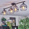 Koyoto Plafoniera, Lampada a sfera Chiaro, Grigio fumo, 4-Luci