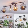 Gastor Plafoniera, Lampada a sfera Ambrato, Chiaro, Grigio fumo, 4-Luci