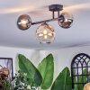 Chehalis Plafoniera, Lampada a sfera Ambrato, Chiaro, Grigio fumo, 3-Luci