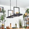 Genor Lampadario a sospensione, Lampada a sospensione LED Nero, Bianco, 1-Luce, Telecomando