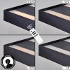 Genor Lampadario a sospensione, Lampada a sospensione LED Nero, Bianco, 1-Luce, Telecomando