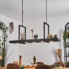 Genor Lampadario a sospensione, Lampada a sospensione LED Nero, Bianco, 1-Luce, Telecomando
