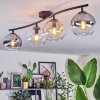 Koyoto Plafoniera, Lampada a sfera Ambrato, Chiaro, Grigio fumo, 4-Luci