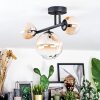 Chehalis Plafoniera, Lampada a sfera Ambrato, Chiaro, 3-Luci