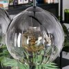 Koyoto Lampadario a sospensione, Lampada a sfera, Lampada a sospensione Chiaro, Grigio fumo, 4-Luci