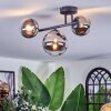 Chehalis Plafoniera, Lampada a sfera Cromo, Chiaro, Grigio fumo, 3-Luci