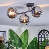 Chehalis Plafoniera, Lampada a sfera Cromo, Chiaro, Grigio fumo, 3-Luci