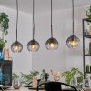 Koyoto Lampadario a sospensione, Lampada a sfera, Lampada a sospensione Chiaro, Grigio fumo, 4-Luci