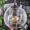 Koyoto Lampadario a sospensione, Lampada a sfera, Lampada a sospensione Ambrato, Chiaro, Grigio fumo, 4-Luci