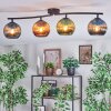 Koyoto Plafoniera, Lampada a sfera Blu, Verde, Ramato, 4-Luci
