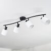 Fallhagen Plafoniera, Faretto da soffitto Nero, 4-Luci