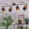 Fallhagen Plafoniera, Faretto da soffitto Nero, 4-Luci