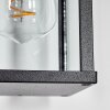 Tourega Lampada da parete per esterno, Applique Nero, 1-Luce