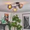 Ripoll Plafoniera, Lampada a sfera Cromo, Chiaro, Grigio fumo, 3-Luci