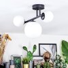 Chehalis Plafoniera, Lampada a sfera Bianco, 3-Luci