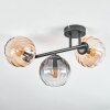 Koyoto Plafoniera, Lampada a sfera Ambrato, Chiaro, Grigio fumo, 3-Luci