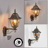 Chatelain Lampada da parete per esterno, Applique Oro, Nero, 1-Luce, Sensori di movimento