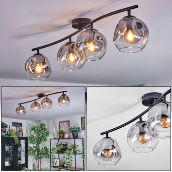 Ripoll Plafoniera, Lampada a sfera Chiaro, Grigio fumo, 4-Luci