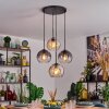Koyoto Lampadario a sospensione, Lampada a sfera, Lampada a sospensione Ambrato, Chiaro, Grigio fumo, 4-Luci