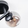Chehalis Plafoniera, Lampada a sfera Ambrato, Grigio fumo, 3-Luci
