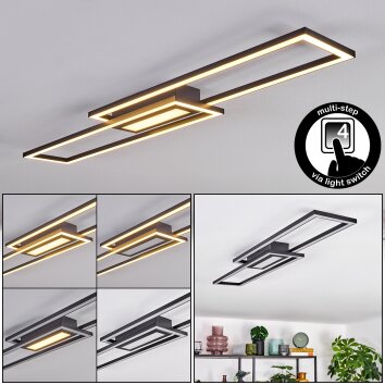 Torresella Plafoniera LED Nero, 1-Luce