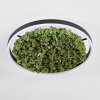 Dorel Plafoniera LED Verde, Bianco, 1-Luce