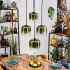 Lauden Lampadario a sospensione, Lampada a sfera, Lampada a sospensione Verde, Chiaro, 4-Luci