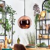 Koyoto Lampadario a sospensione, Lampada a sfera, Lampada a sospensione Ramato, 1-Luce