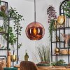 Koyoto Lampadario a sospensione, Lampada a sfera, Lampada a sospensione Ramato, 1-Luce