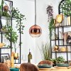 Koyoto Lampadario a sospensione, Lampada a sfera, Lampada a sospensione Chiaro, Ramato, 1-Luce