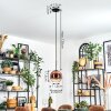 Koyoto Lampadario a sospensione, Lampada a sfera, Lampada a sospensione Chiaro, Ramato, 1-Luce