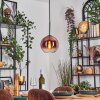 Koyoto Lampadario a sospensione, Lampada a sfera, Lampada a sospensione Chiaro, Ramato, 1-Luce