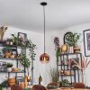Koyoto Lampadario a sospensione, Lampada a sfera, Lampada a sospensione Chiaro, Ramato, 1-Luce