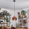 Koyoto Lampadario a sospensione, Lampada a sfera, Lampada a sospensione Chiaro, Ramato, 1-Luce