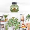 Koyoto Plafoniera, Lampada a sfera Verde, 1-Luce