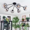 Koyoto Plafoniera, Lampada a sfera 77.5 cm Chiaro, Grigio fumo, 6-Luci