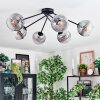 Koyoto Plafoniera, Lampada a sfera 77.5 cm Chiaro, Grigio fumo, 6-Luci