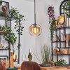 Koyoto Lampadario a sospensione, Lampada a sfera, Lampada a sospensione Ambrato, Chiaro, 1-Luce