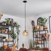 Koyoto Lampadario a sospensione, Lampada a sfera, Lampada a sospensione Ambrato, Chiaro, 1-Luce
