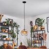 Koyoto Lampadario a sospensione, Lampada a sfera, Lampada a sospensione 25 cm Ambrato, Chiaro, 1-Luce
