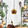 Koyoto Lampadario a sospensione, Lampada a sfera, Lampada a sospensione Oro, 1-Luce