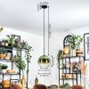 Koyoto Lampadario a sospensione, Lampada a sfera, Lampada a sospensione 25 cm Verde, Chiaro, 1-Luce